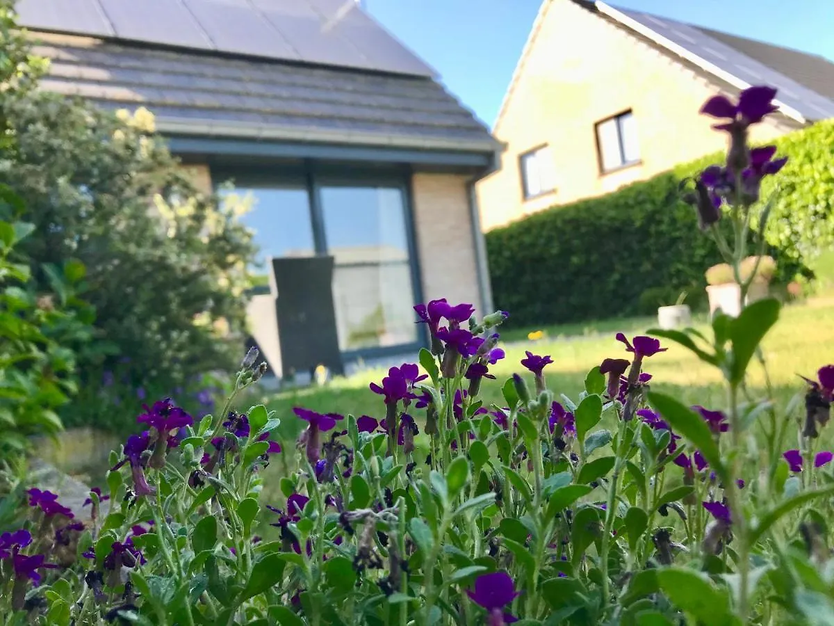 Ter Zwaanhoek Villa Ostend
