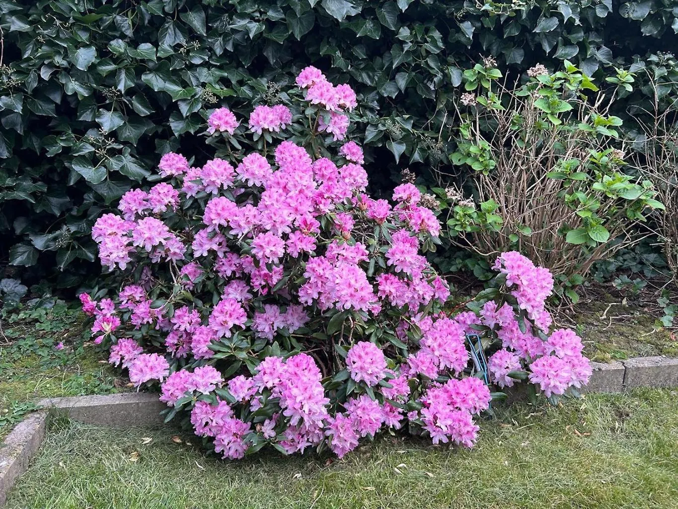 Holiday home Ter Zwaanhoek Villa Ostend Belgium